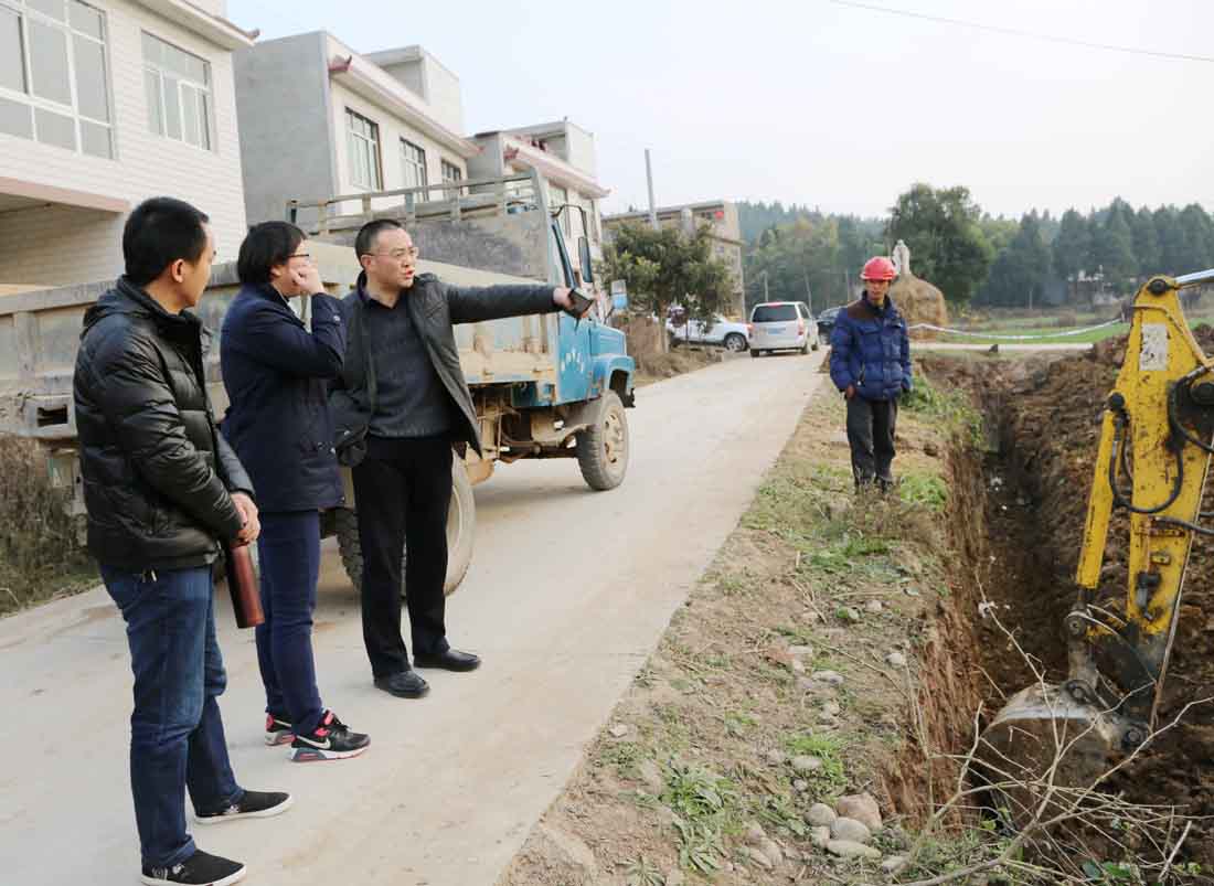 宁夏贫困人口占比_宁夏马占祥鸽种鸽图片(3)